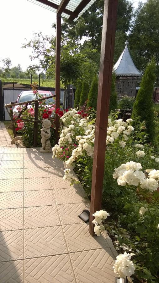 Casa Mamei Suceava Exteriör bild