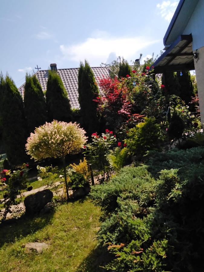 Casa Mamei Suceava Exteriör bild