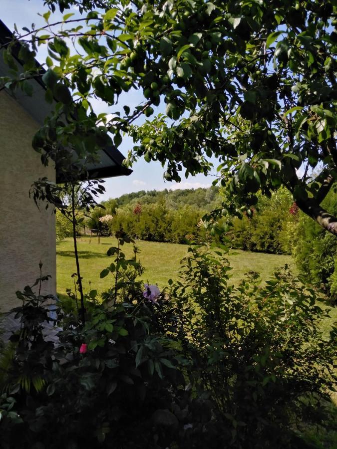Casa Mamei Suceava Exteriör bild