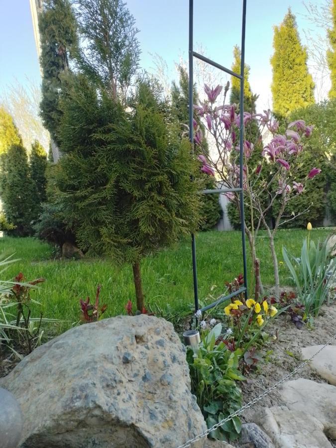 Casa Mamei Suceava Exteriör bild