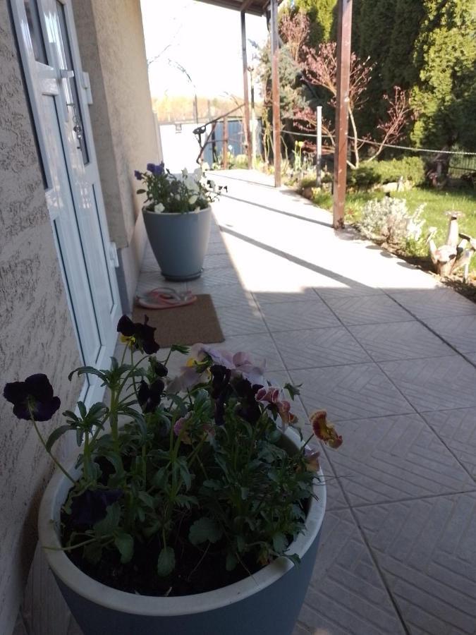 Casa Mamei Suceava Exteriör bild