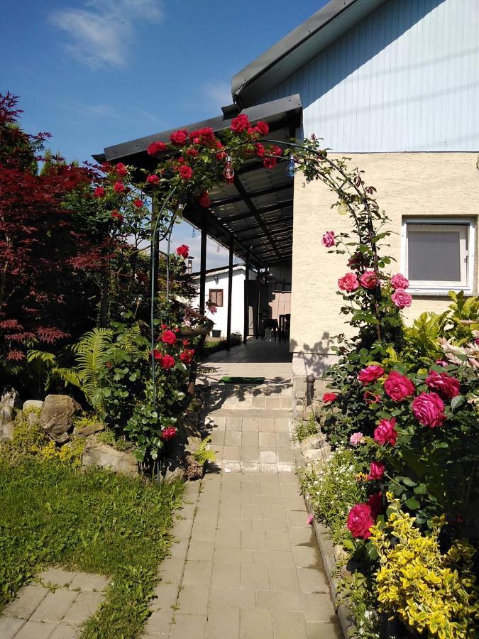 Casa Mamei Suceava Exteriör bild