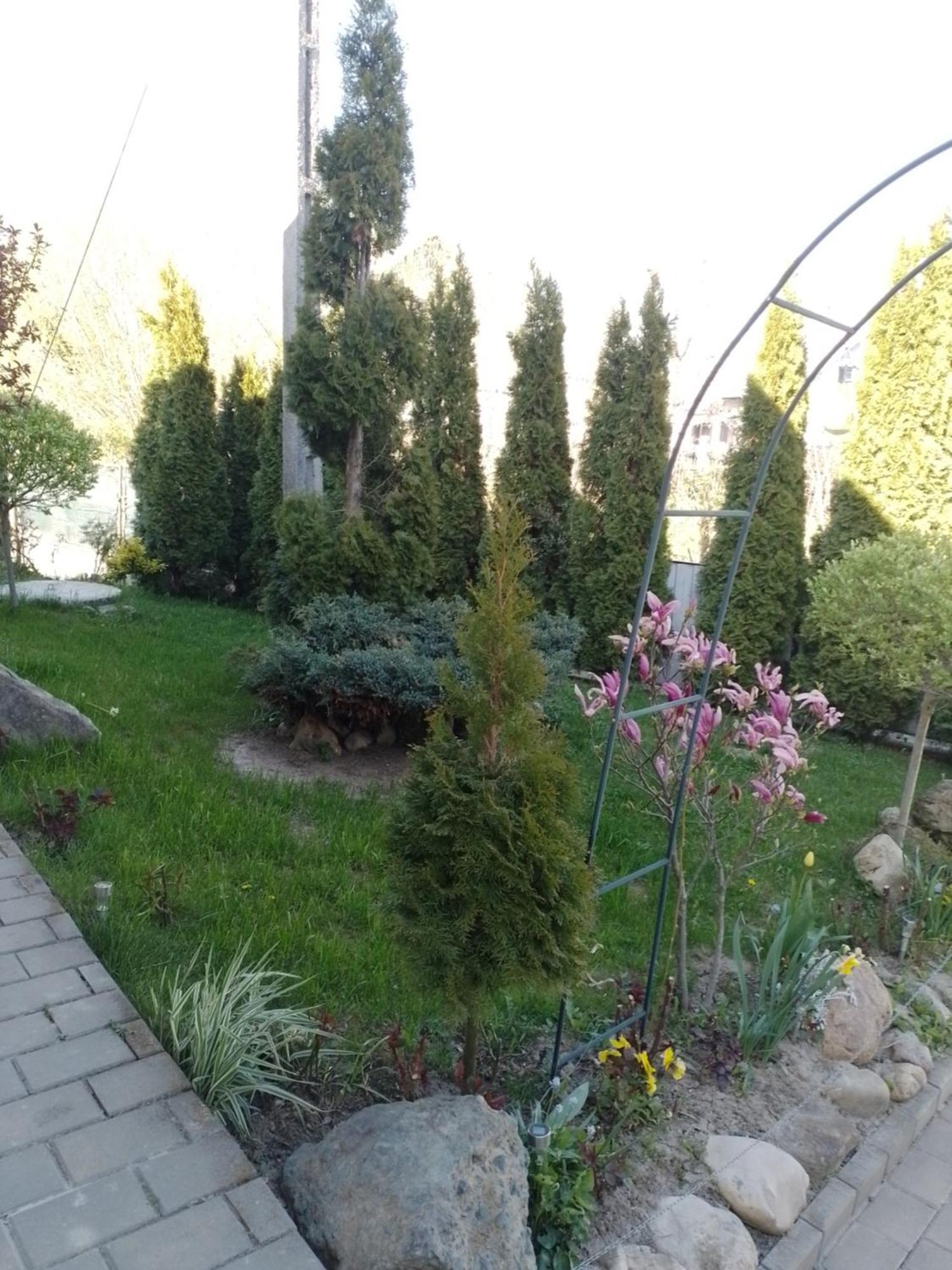 Casa Mamei Suceava Rum bild
