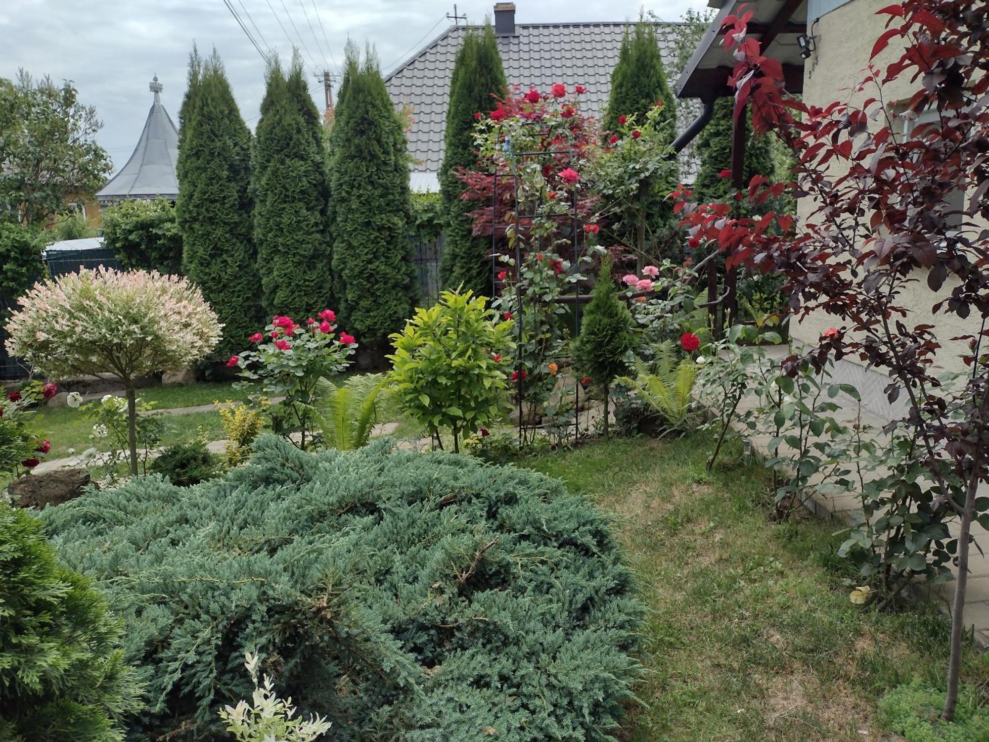Casa Mamei Suceava Rum bild