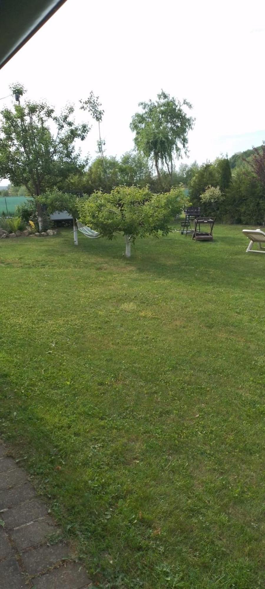 Casa Mamei Suceava Exteriör bild