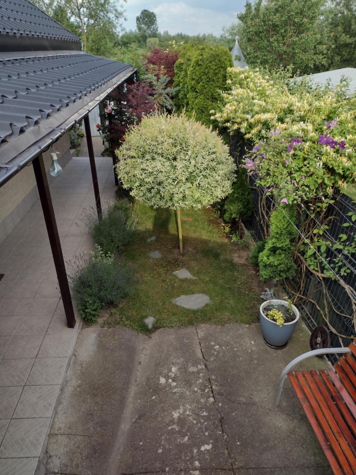 Casa Mamei Suceava Exteriör bild